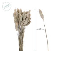 Phalaris Trockenblumenstrauß - natürliche Deko im Boho-Look