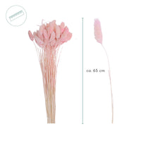 Phalaris Trockenblumenstrauß - natürliche Deko im Boho-Look