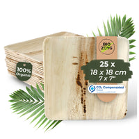Palmblattteller quadratisch – Bio-Einwegteller aus Palmblatt
