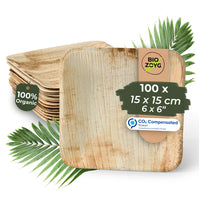 Palmblattteller quadratisch – Bio-Einwegteller aus Palmblatt
