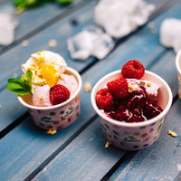 Eisbecher aus Pappe bunt - kompostierbare Speisebecher To Go