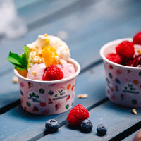 Eisbecher aus Pappe bunt - kompostierbare Speisebecher To Go